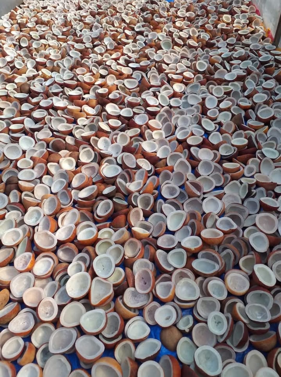 WhatsApp Image 2025-10-14 at 09.52.54